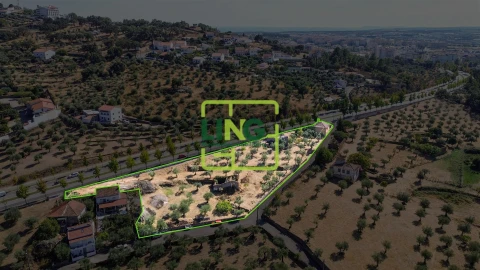 Quinta T6 para Venda em Castelo Branco
