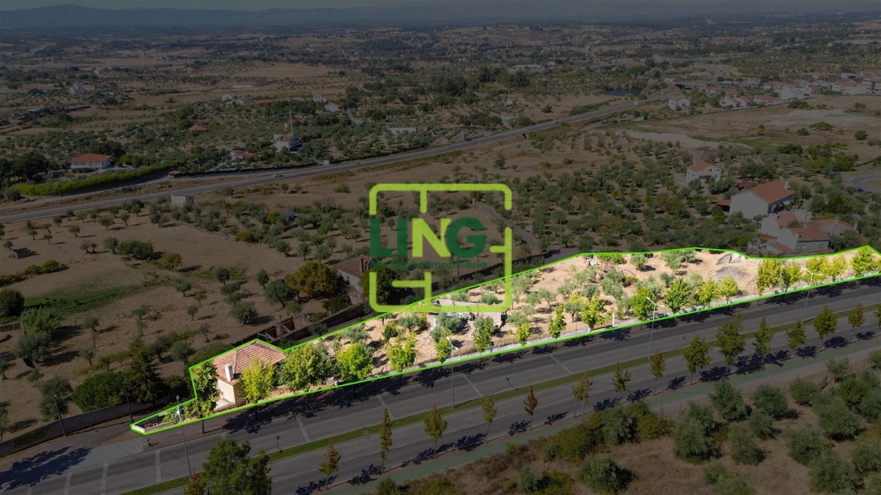 Quinta T6 para Venda em Castelo Branco Foto 47