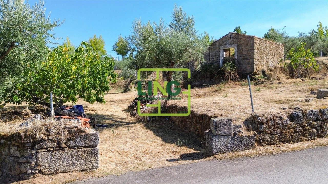 Quinta T6 para Venda em Castelo Branco Foto 8