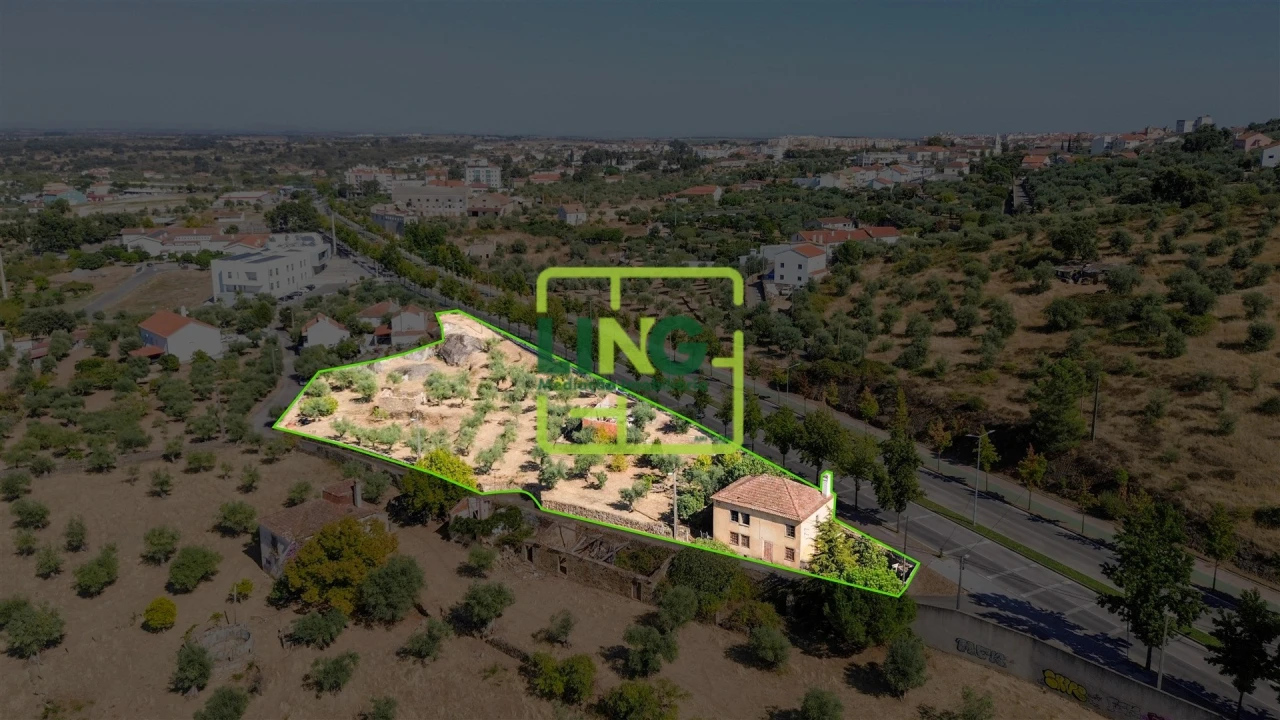 Quinta T6 para Venda em Castelo Branco Foto 43