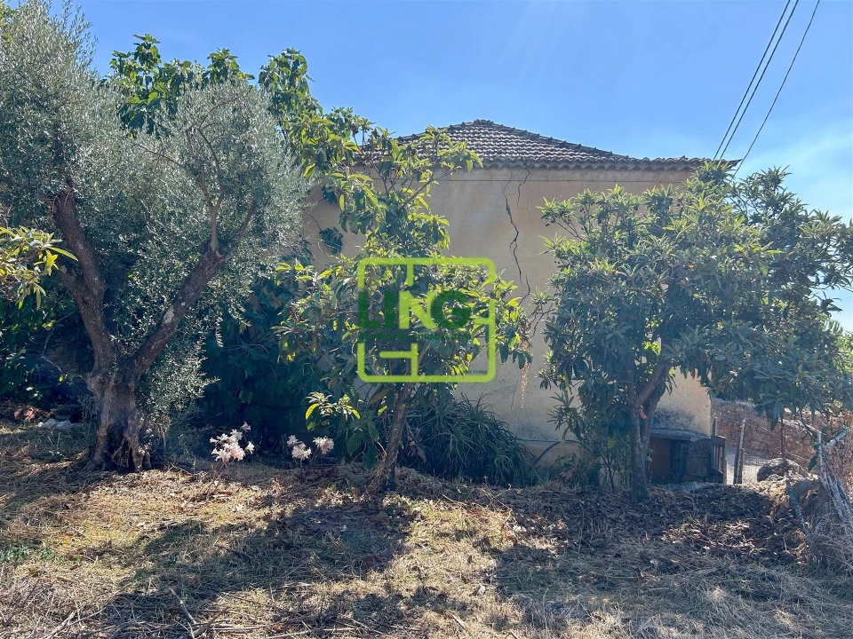 Quinta T6 para Venda em Castelo Branco Foto 31