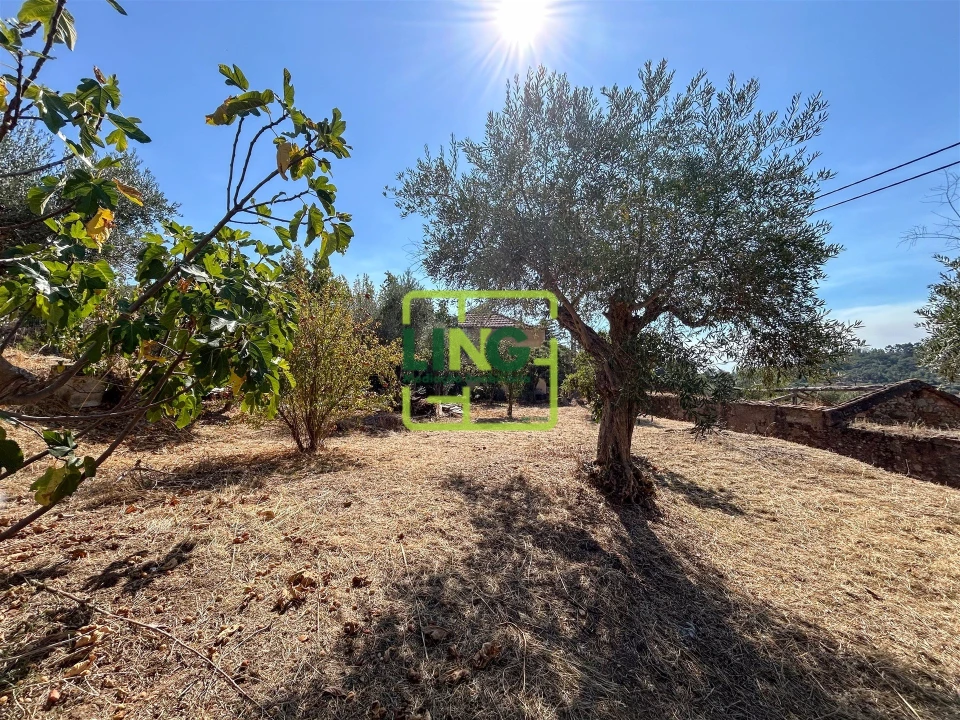 Quinta T6 para Venda em Castelo Branco Foto 29