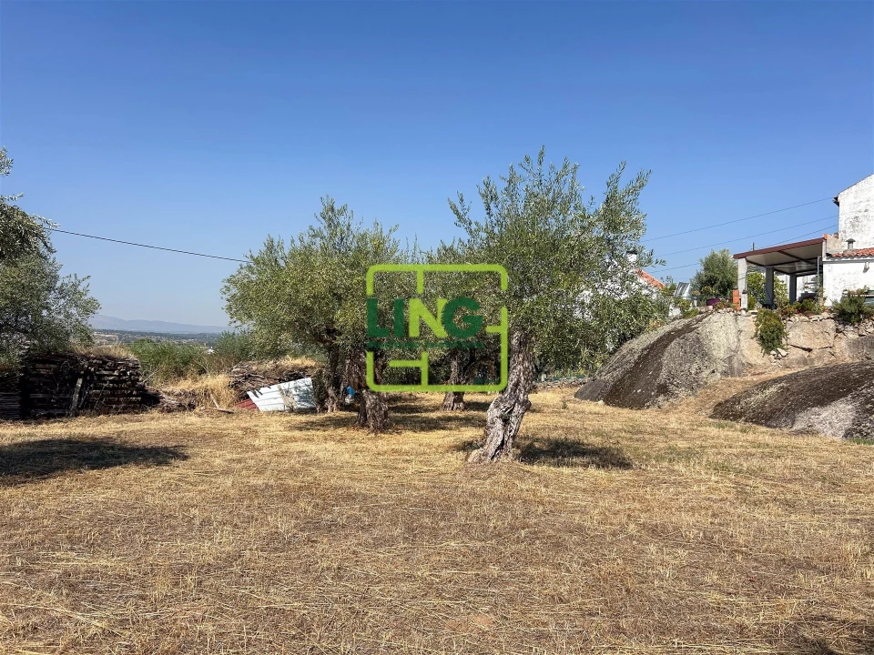 Quinta T6 para Venda em Castelo Branco Foto 17