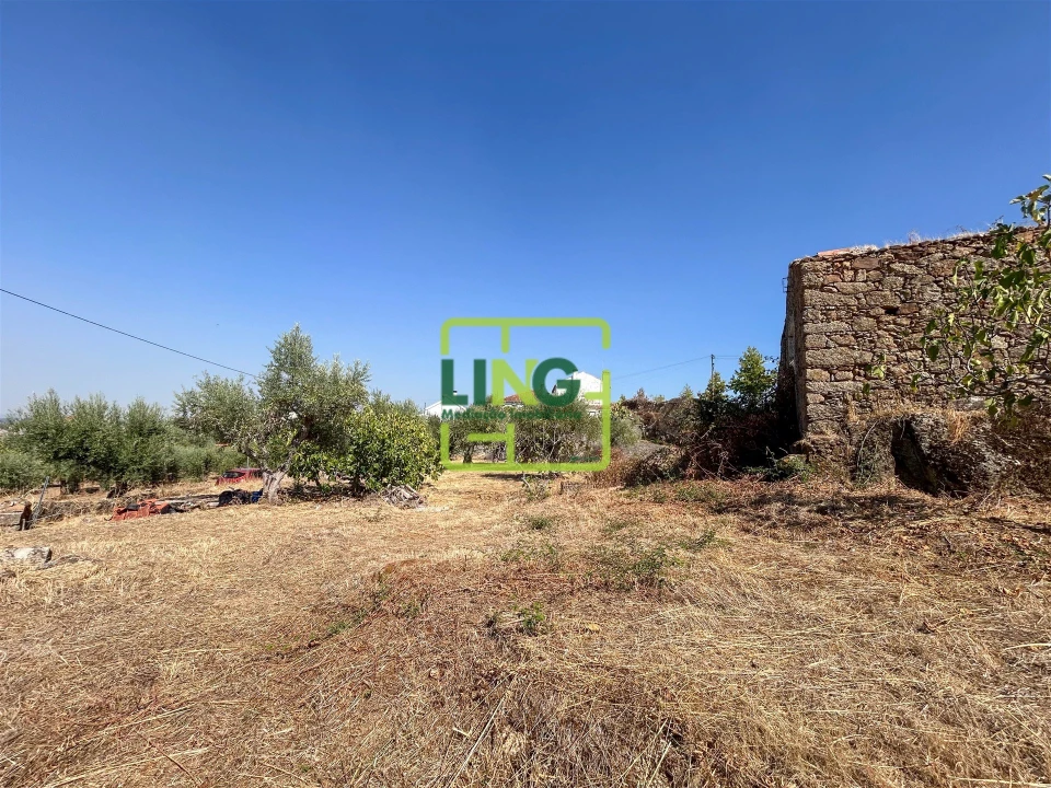 Quinta T6 para Venda em Castelo Branco Foto 21