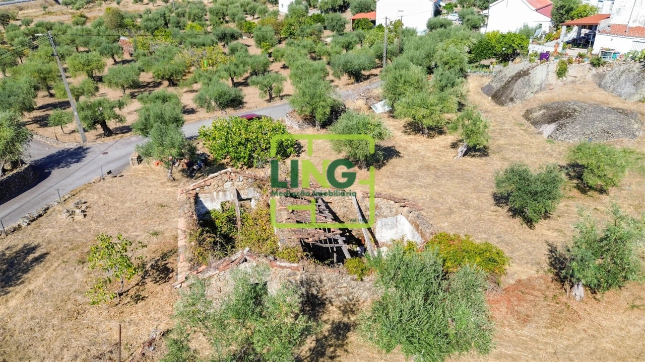 Quinta T6 para Venda em Castelo Branco Foto 14