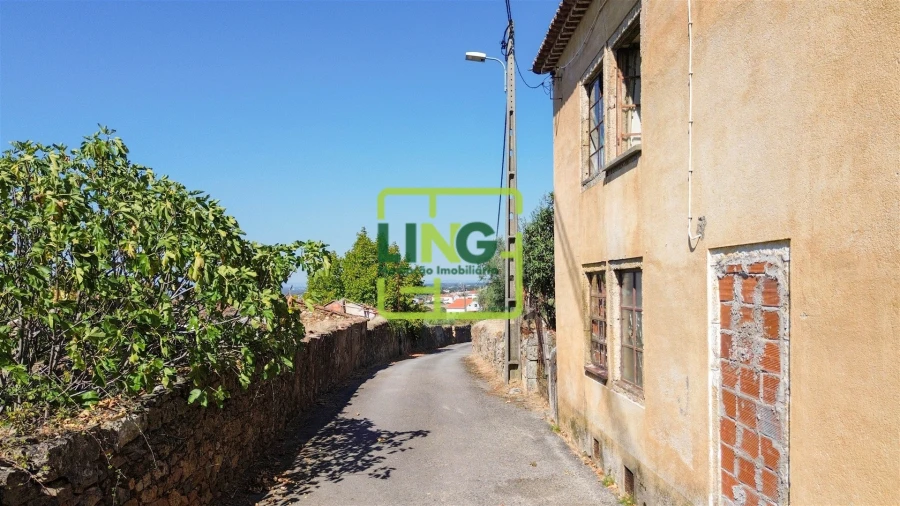 Quinta T6 para Venda em Castelo Branco Foto 4