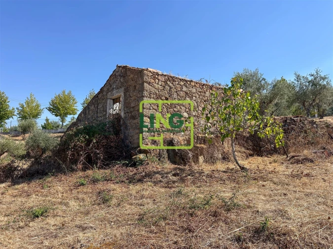 Quinta T6 para Venda em Castelo Branco Foto 20