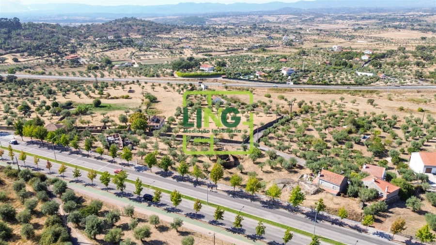 Quinta T6 para Venda em Castelo Branco Foto 48