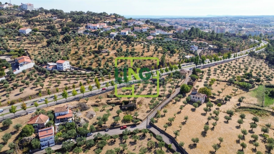 Quinta T6 para Venda em Castelo Branco Foto 54