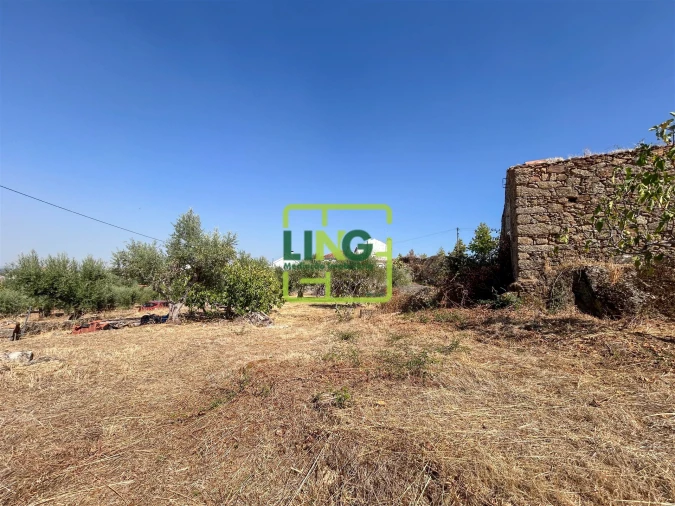 Quinta T6 para Venda em Castelo Branco Foto 21