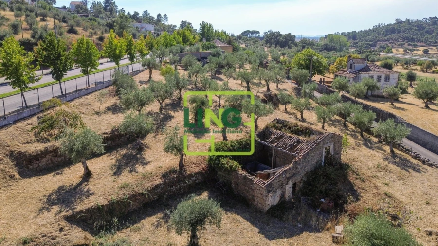 Quinta T6 para Venda em Castelo Branco Foto 26