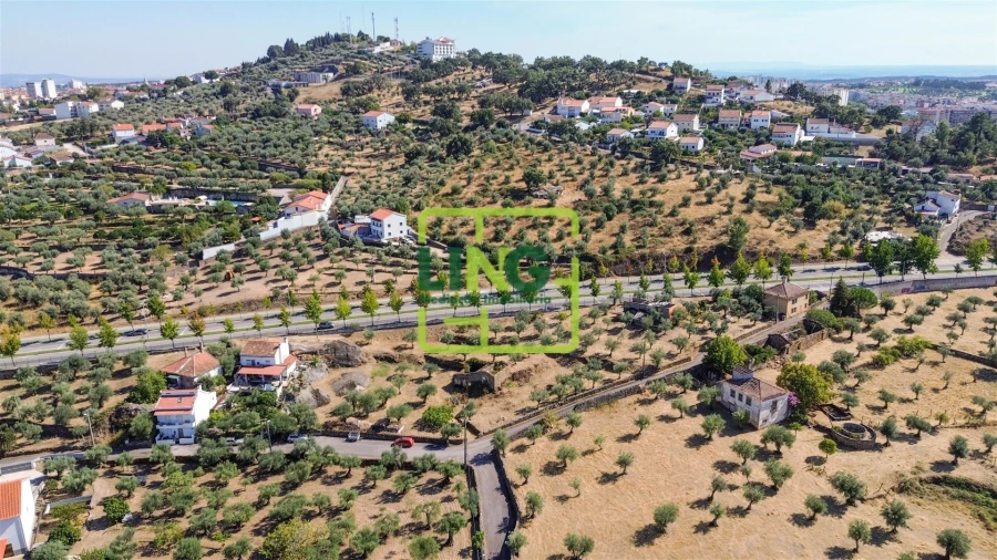 Quinta T6 para Venda em Castelo Branco Foto 56