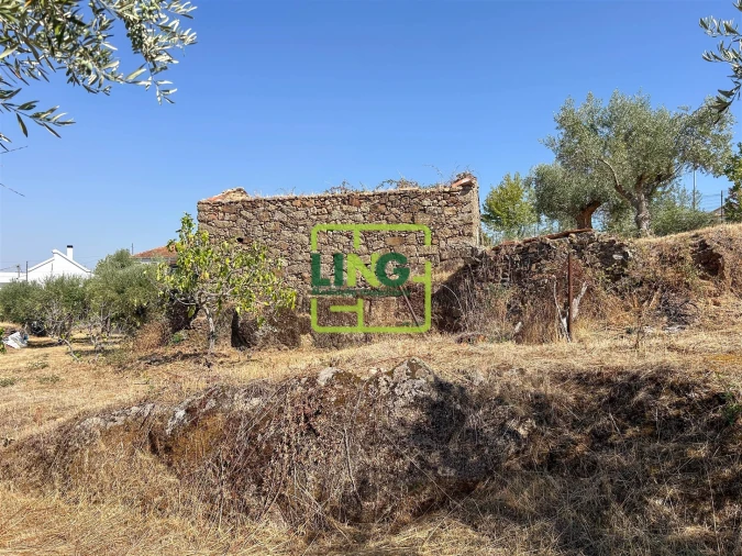 Quinta T6 para Venda em Castelo Branco Foto 22