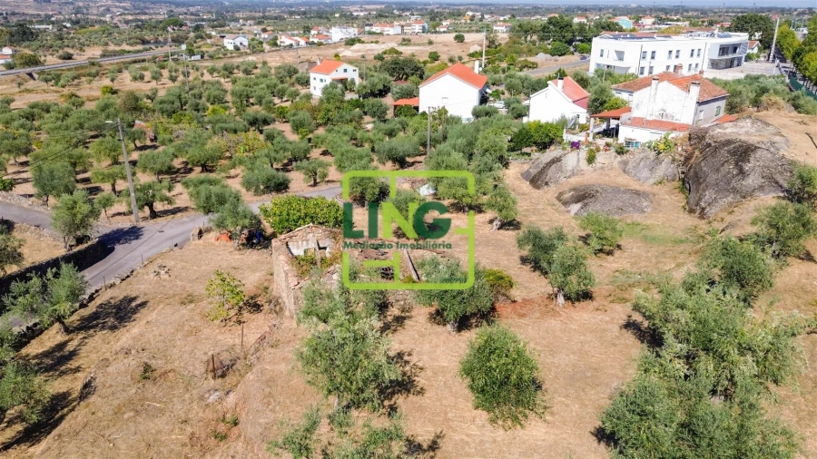 Quinta T6 para Venda em Castelo Branco Foto 13