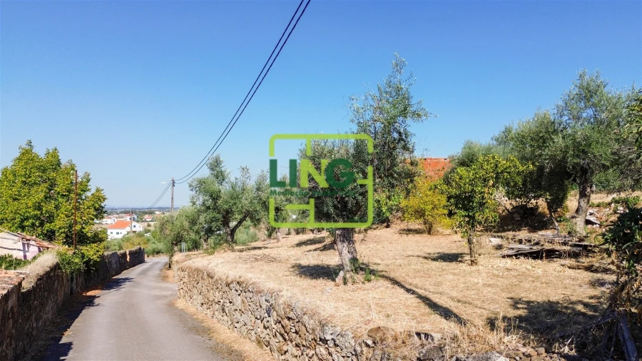Quinta T6 para Venda em Castelo Branco Foto 5