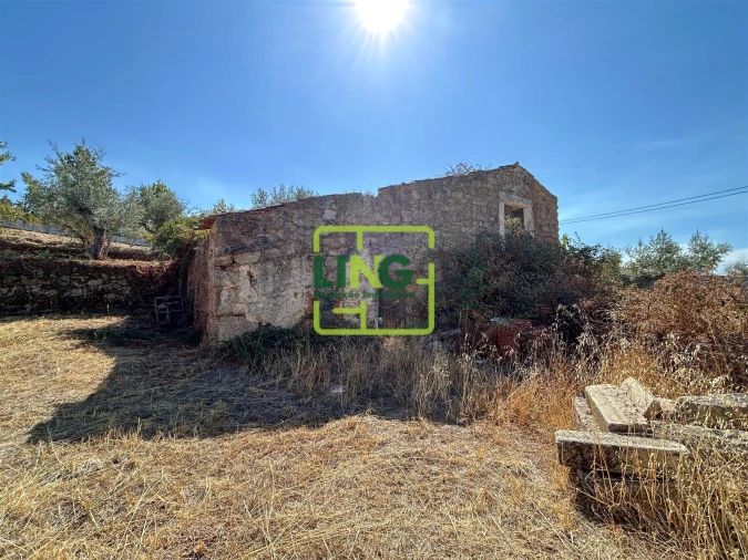 Quinta T6 para Venda em Castelo Branco Foto 18