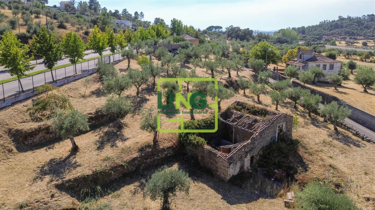 Quinta T6 para Venda em Castelo Branco Foto 26