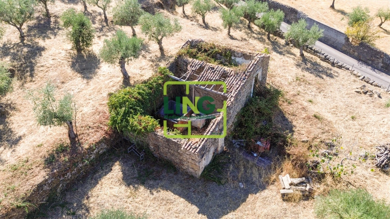 Quinta T6 para Venda em Castelo Branco Foto 40
