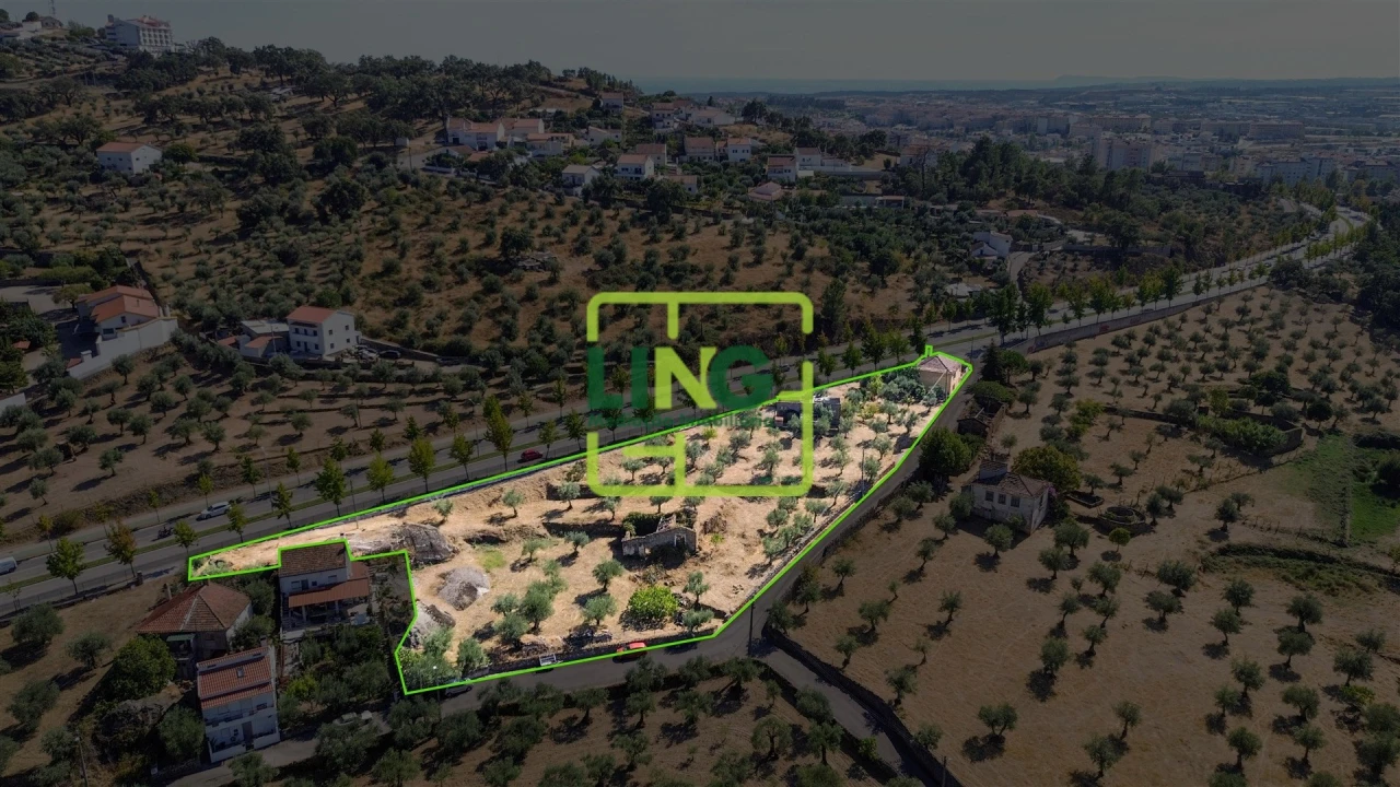 Quinta T6 para Venda em Castelo Branco Foto 55