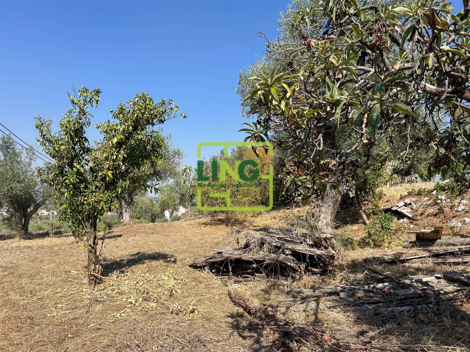 Quinta T6 para Venda em Castelo Branco Foto 32