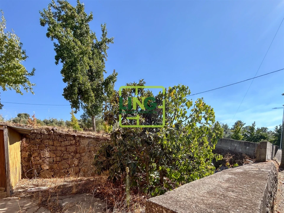 Quinta T6 para Venda em Castelo Branco Foto 36