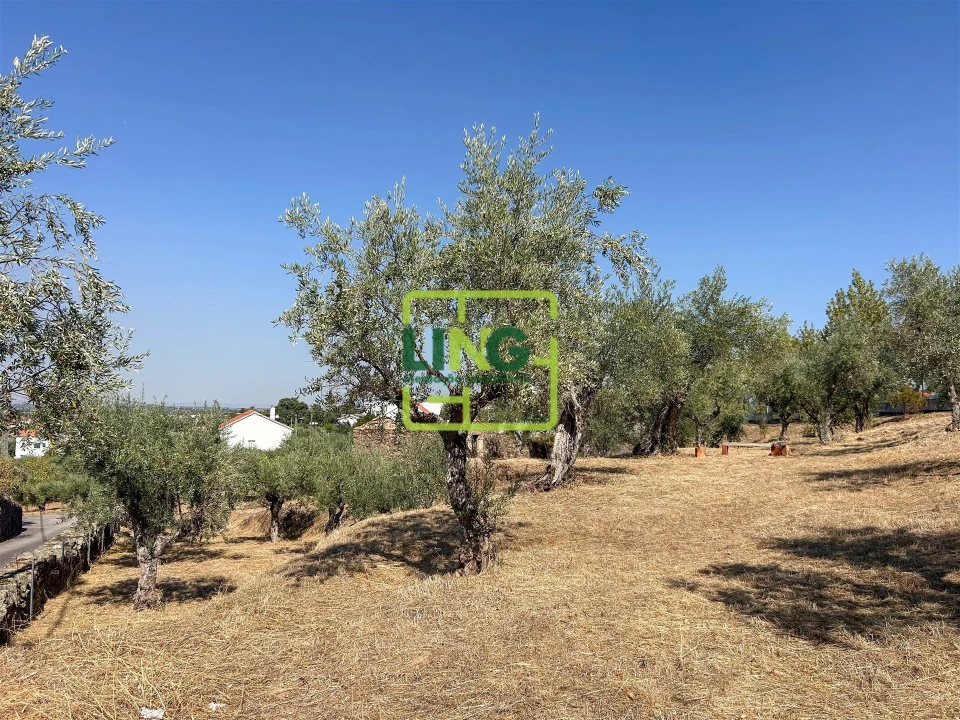 Quinta T6 para Venda em Castelo Branco Foto 27