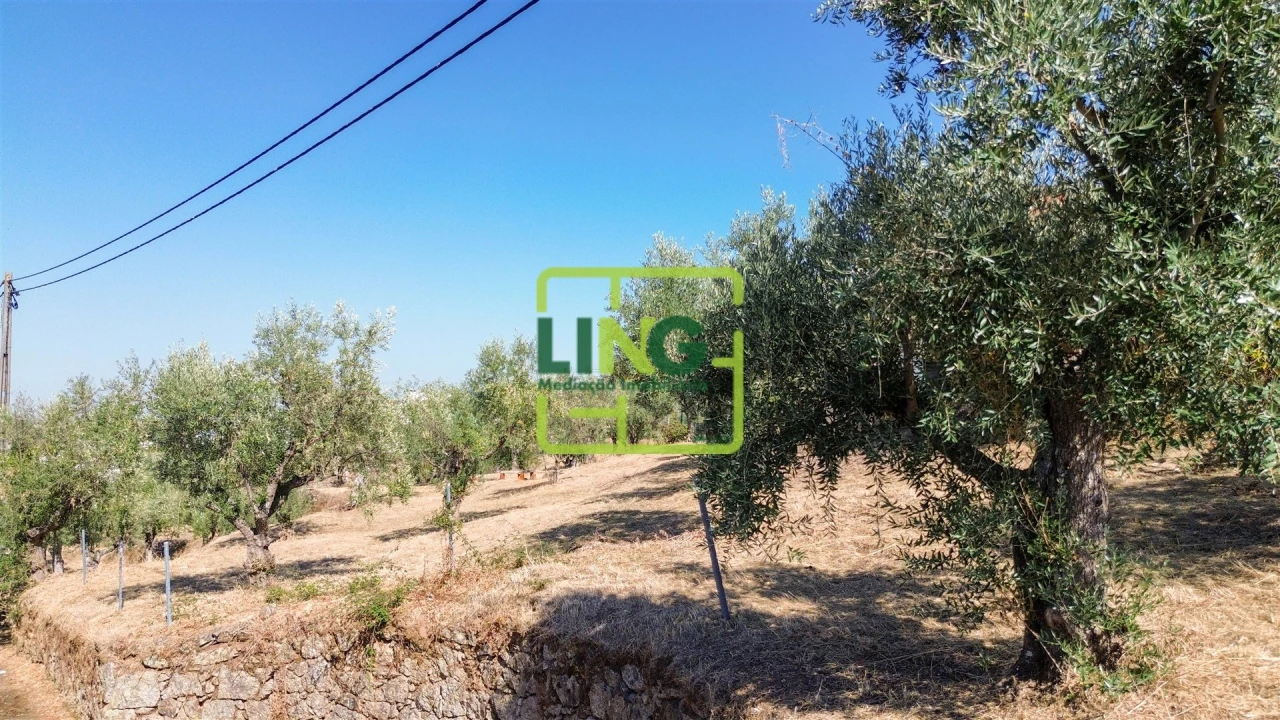 Quinta T6 para Venda em Castelo Branco Foto 6
