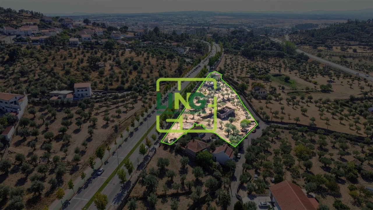 Quinta T6 para Venda em Castelo Branco Foto 53
