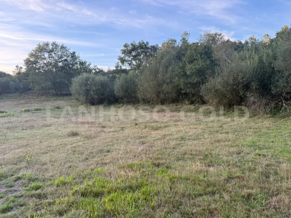 Terreno para Venda em Serzedelo Foto 6