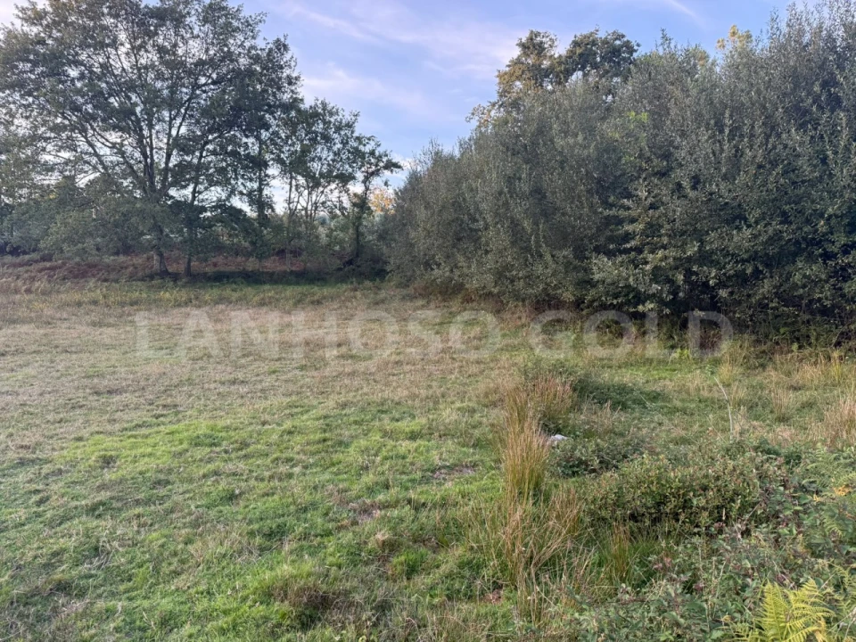 Terreno para Venda em Serzedelo Foto 4