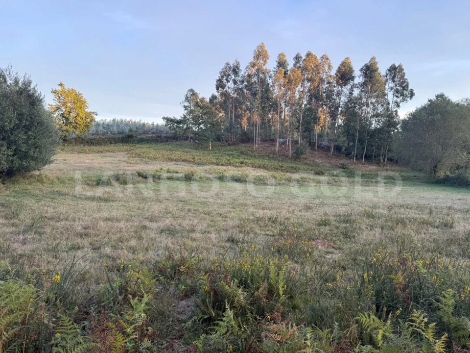 Terreno para Venda em Serzedelo Foto 8