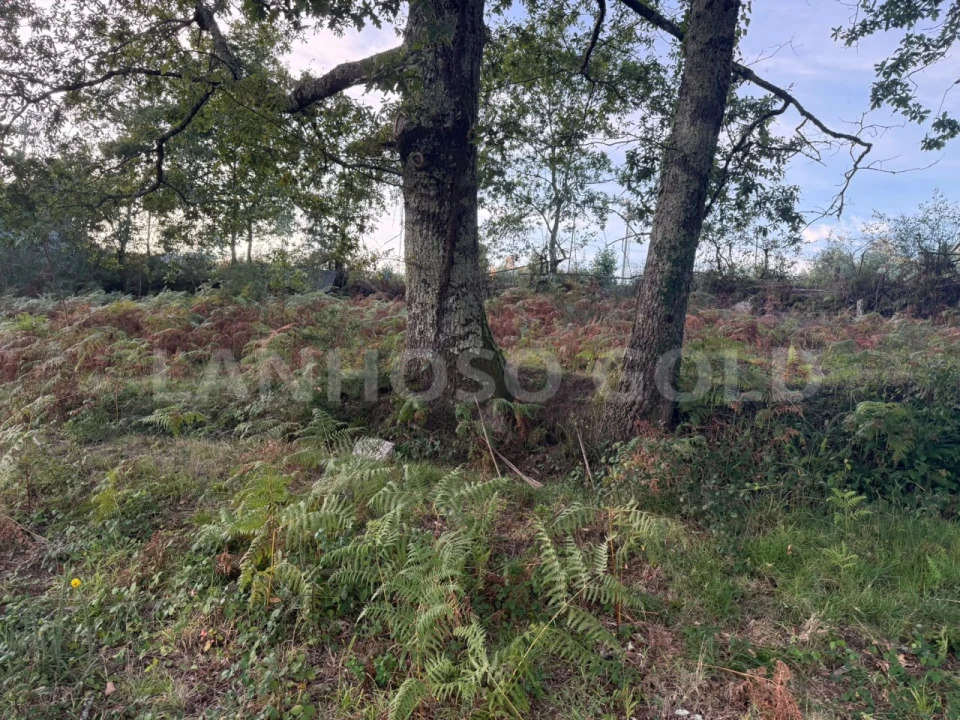 Terreno para Venda em Serzedelo Foto 9