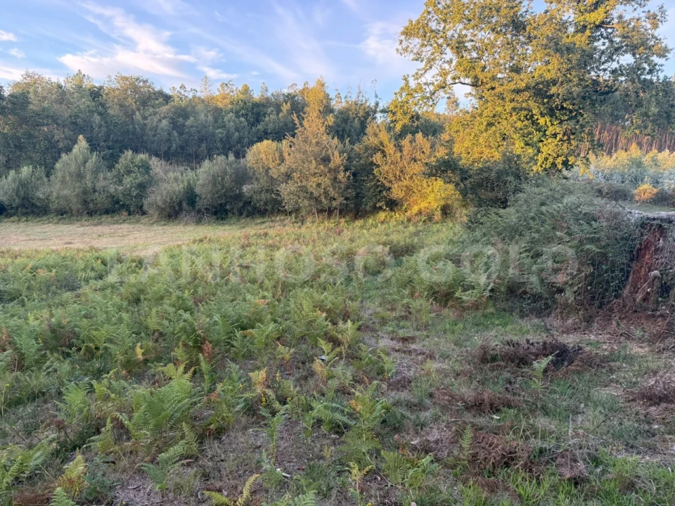 Terreno para Venda em Serzedelo Foto 11