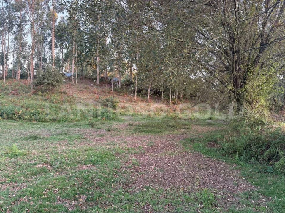 Terreno para Venda em Serzedelo Foto 12