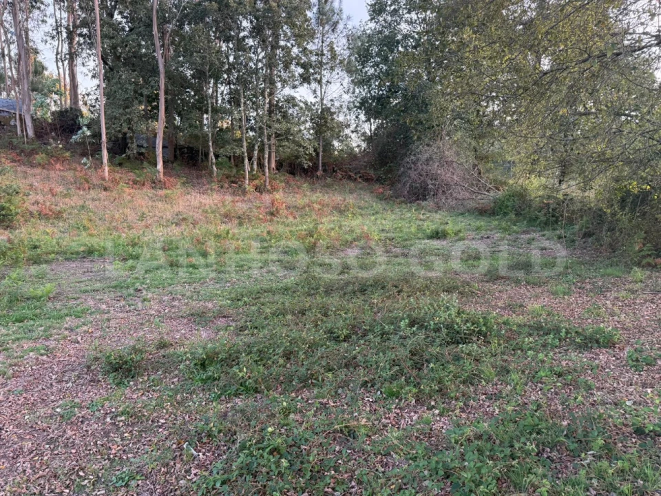 Terreno para Venda em Serzedelo Foto 13