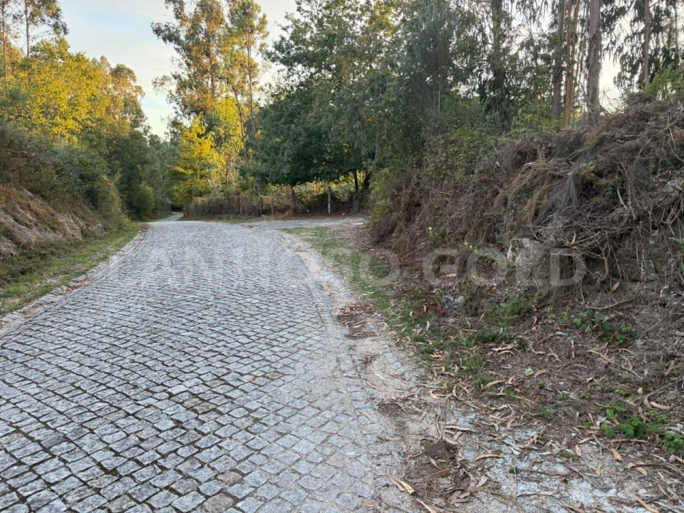 Terreno para Venda em Serzedelo Foto 2