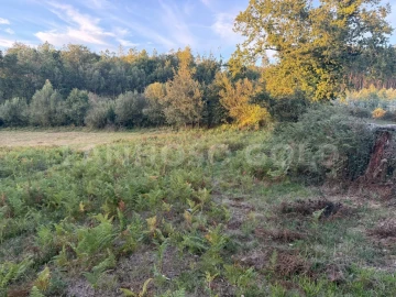 Terreno para Venda em Serzedelo
