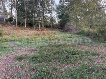 Terreno para Venda em Serzedelo