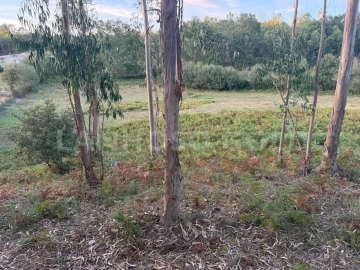 Terreno para Venda em Serzedelo