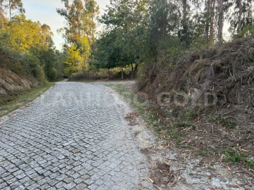 Terreno para Venda em Serzedelo