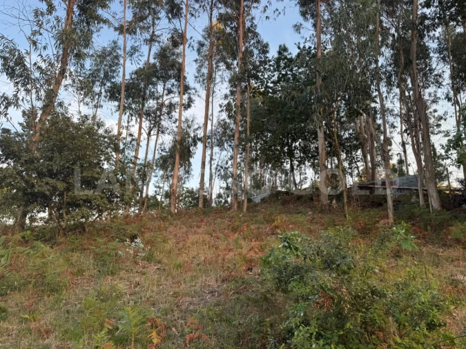 Terreno para Venda em Serzedelo Foto 14