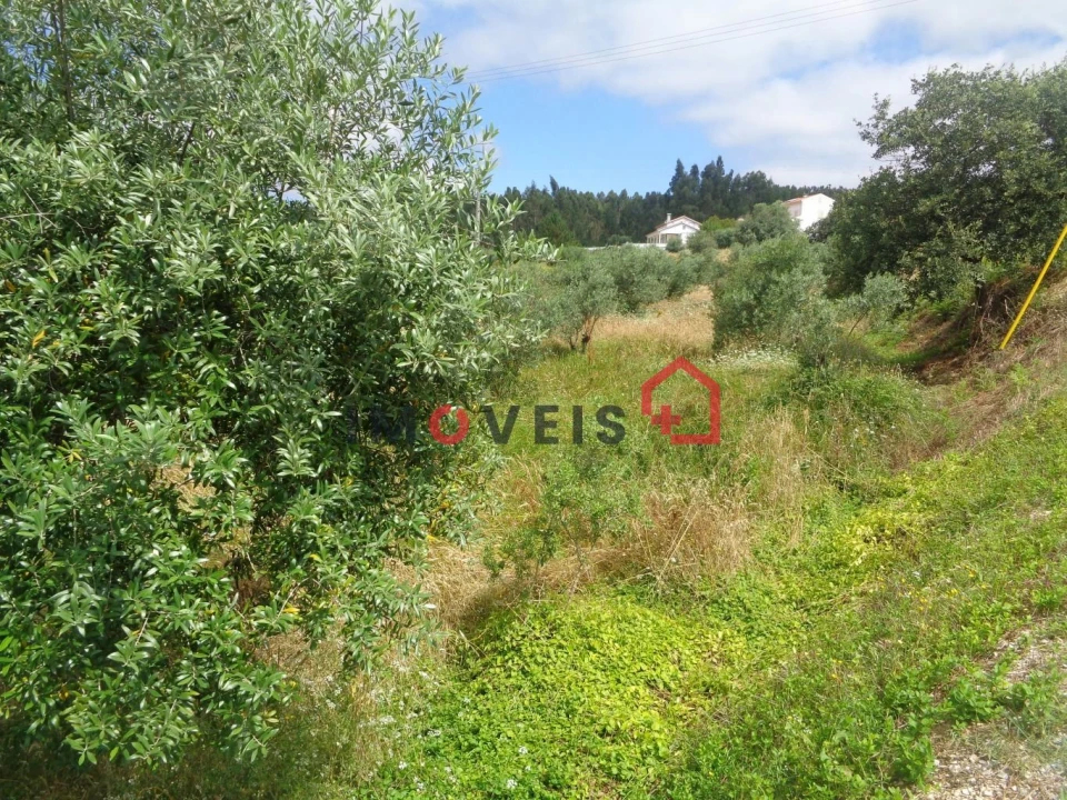 Terreno para Venda em Gondemaria e Olival Foto 5