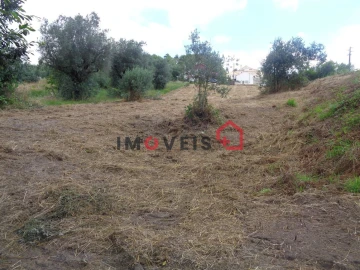 Terreno para Venda em Gondemaria e Olival