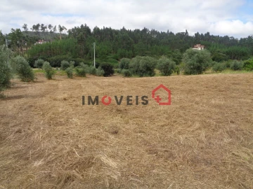 Terreno para Venda em Gondemaria e Olival