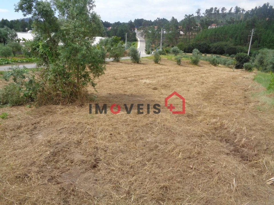 Terreno para Venda em Gondemaria e Olival Foto 4