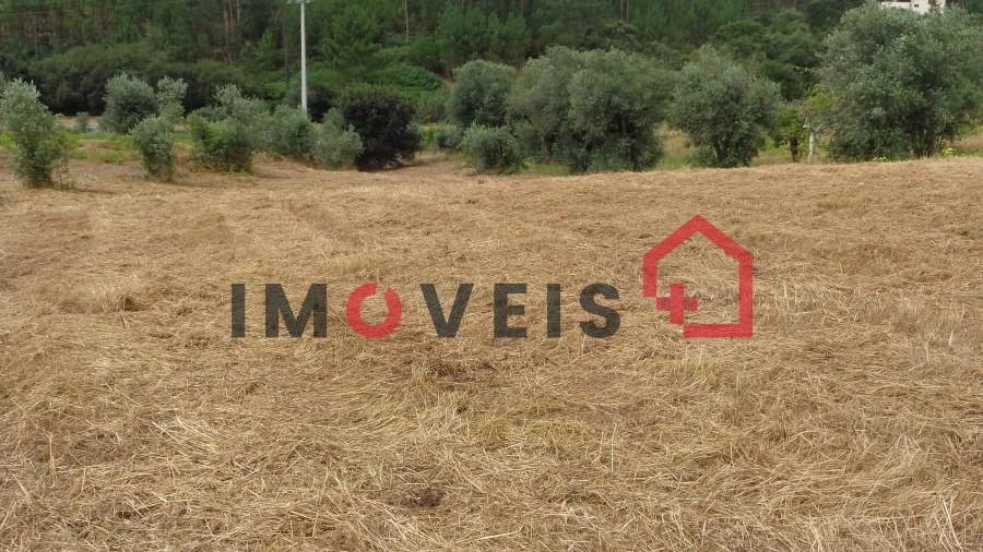 Terreno para Venda em Gondemaria e Olival