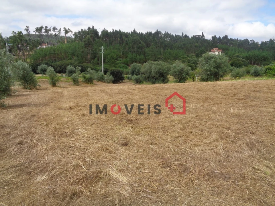 Terreno para Venda em Gondemaria e Olival Foto 1