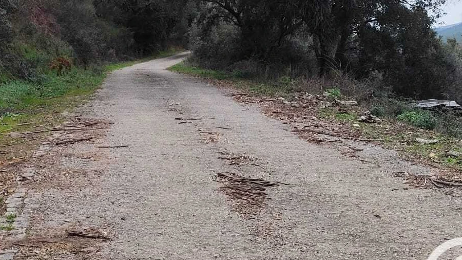 Quinta T4 para Venda em Alegrete