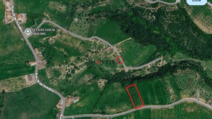 Terreno para Venda em São Vicente do Paul e Vale de Figueira