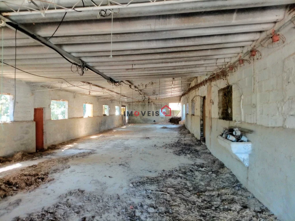Armazém para Venda em Achete, Azoia de Baixo e Póvoa de Santarém Foto 3